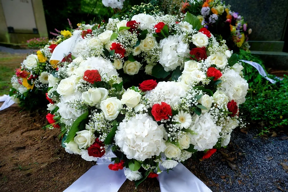 Обложка © Shuttrestock / FOTODOM / gerd-harder