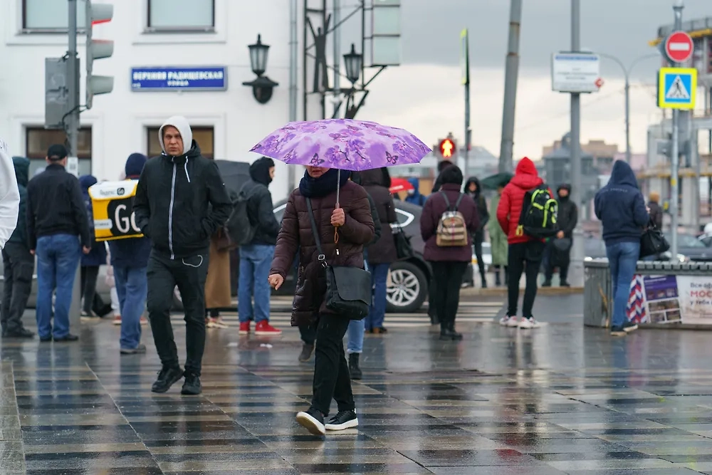 Обложка © Shutterstock / FOTODOM