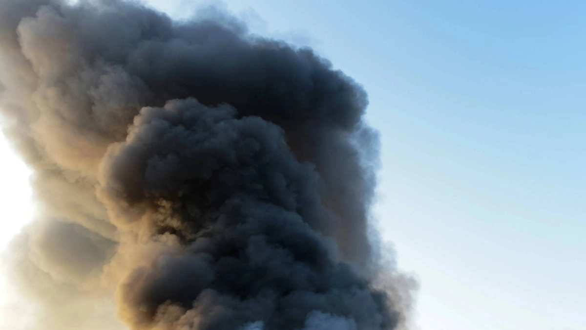 Обложка © Shutterstock / FOTODOM / hxdbzxy