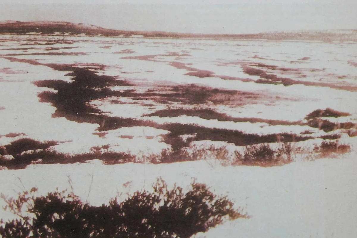 Почему Тунгусский метеорит не оставил кратера? Учёные до сих пор ломают над этим голову. Фото © Wikipedia