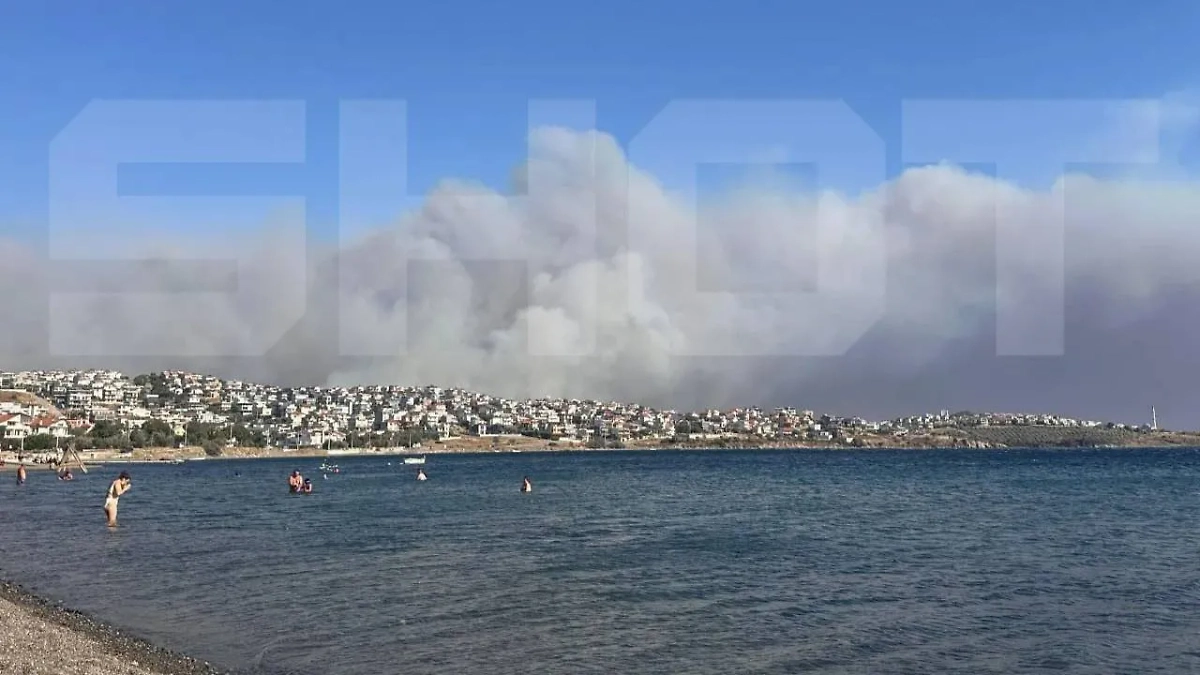 В турецком Измире продолжают бушевать лесные пожары. Фото © Telegram / SHOT