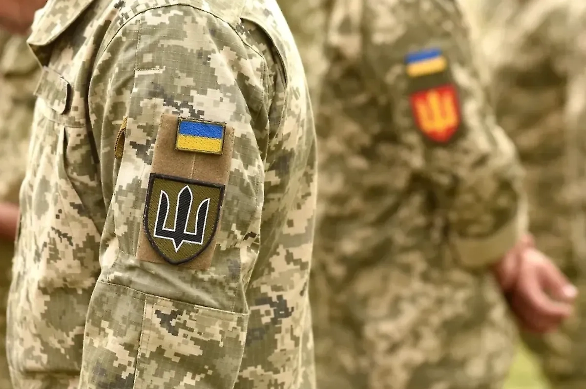 ВСУ. © Обложка © Shutterstock / FOTODOM / Bumble Dee