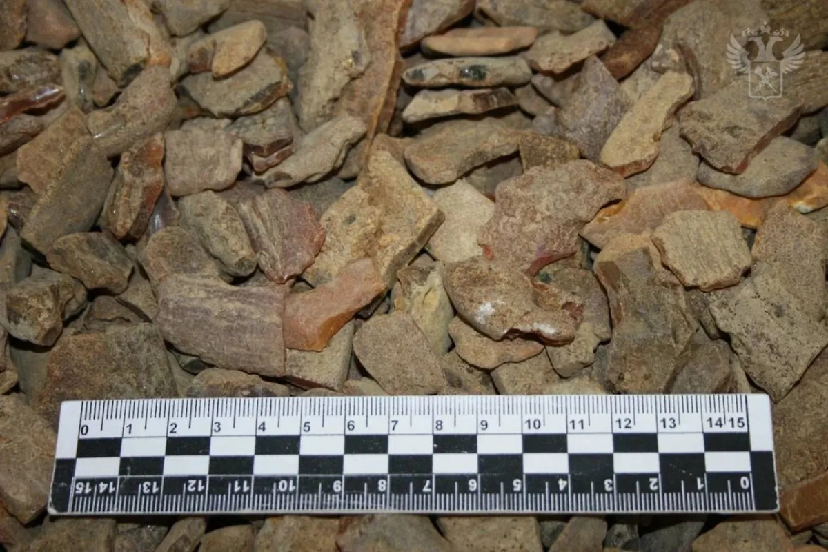 Изъятый янтарь. Фото © Telegram / ФТС России