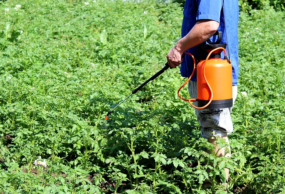 Обложка © Shutterstock / FOTODOM / DENIS ESAULOV 1987