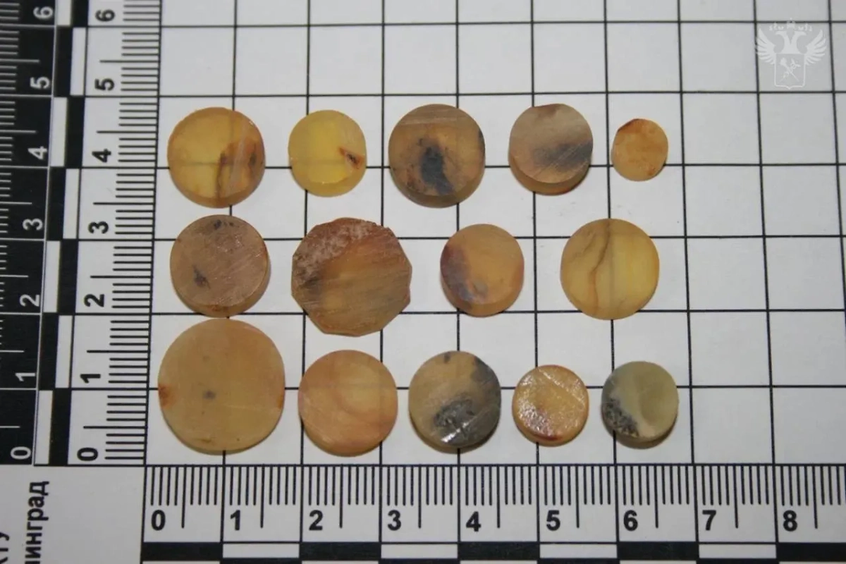 Изъятый янтарь. Фото © Telegram / ФТС России