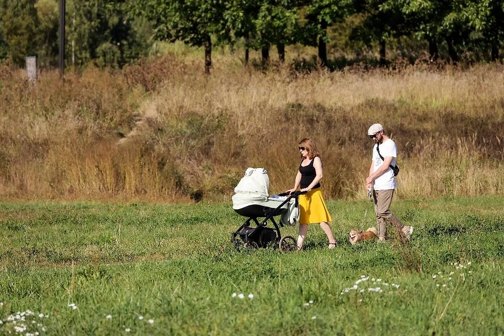 Ежемесячная выплата: если вашему ребёнку меньше трёх лет, вы можете получить её. Фото © ТАСС / Олег Елков