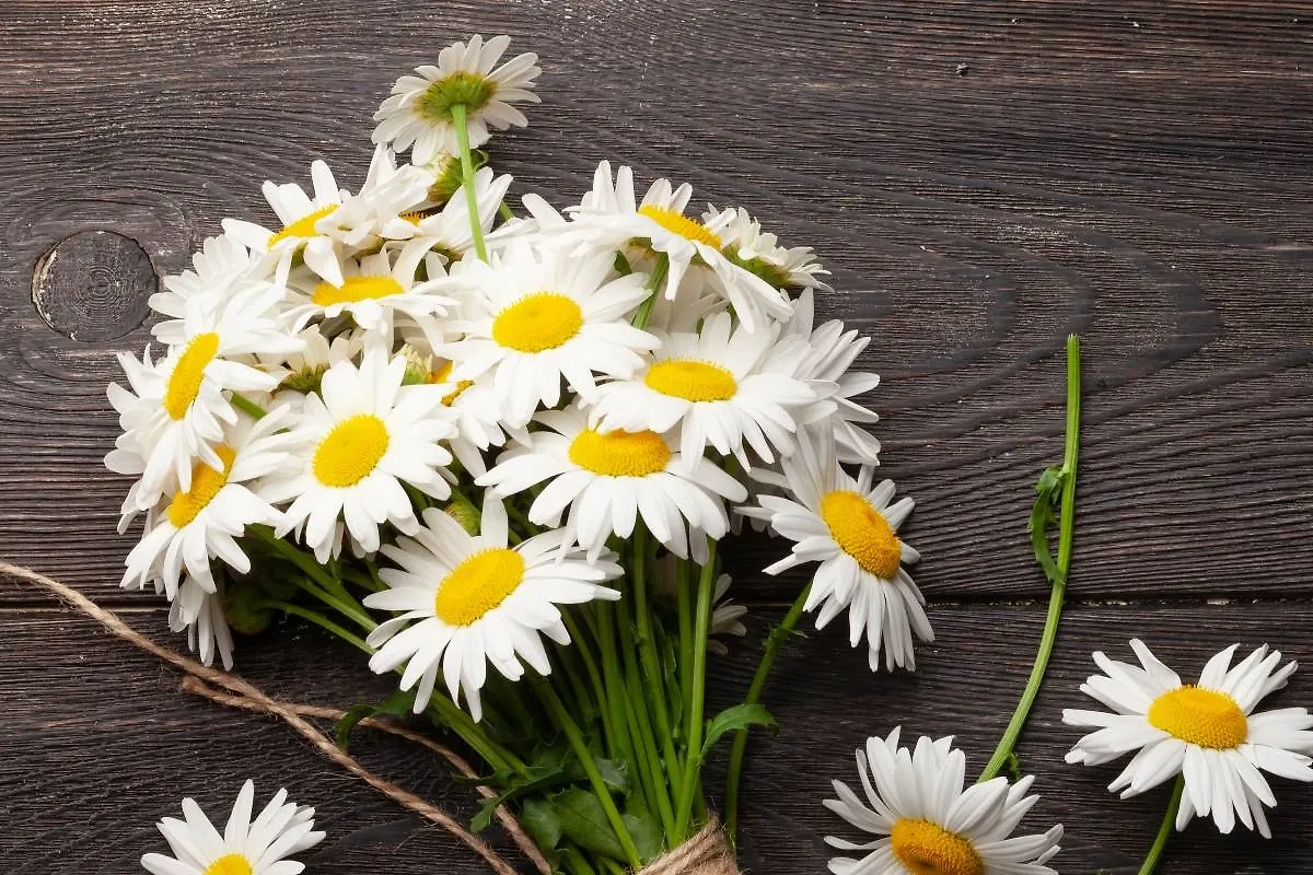 День семьи, любви и верности — это пора, когда нужно радоваться своим родным и поддерживать традиционные ценности. Фото © Shutterstock / FOTODOM / evgeeenius