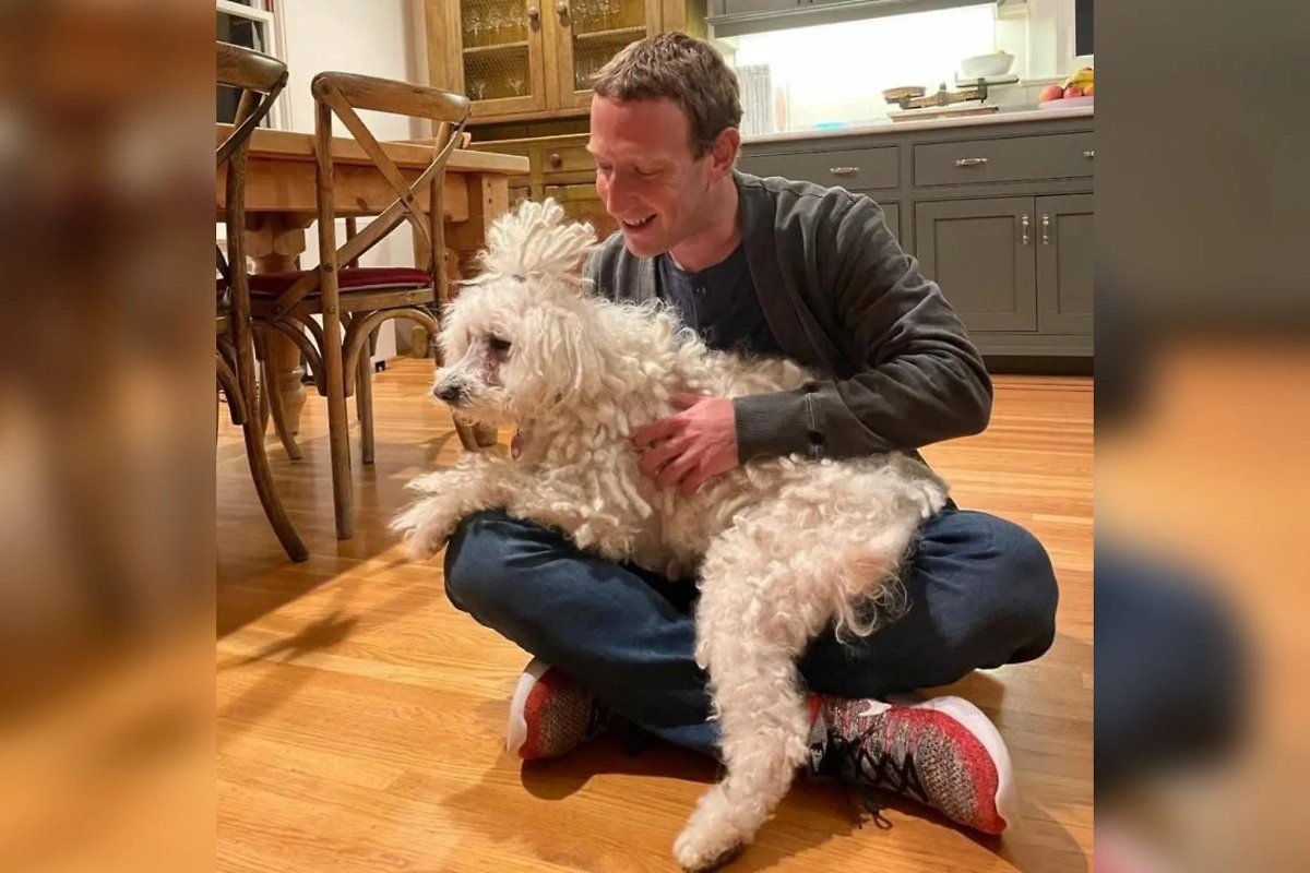 Обложка © Instagram (признан экстремистской организацией и запрещён на территории Российской Федерации) / zuck