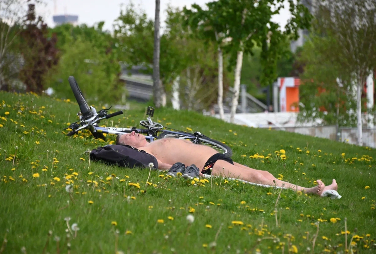 Обложка © Life.ru