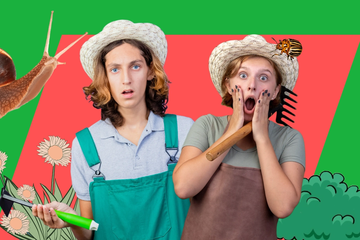 Самые опасные вредители дачи и способы борьбы с ними. Обложка © Коллаж © Life.ru, фото © Freepik / stockking, stockking