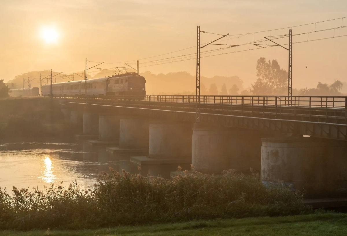 Обложка © freepik / wirestock