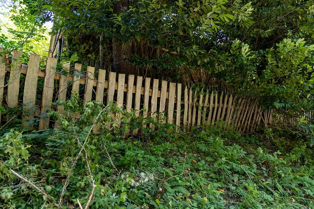 Обложка © Shutterstock / FOTODOM / Aleksey Demin