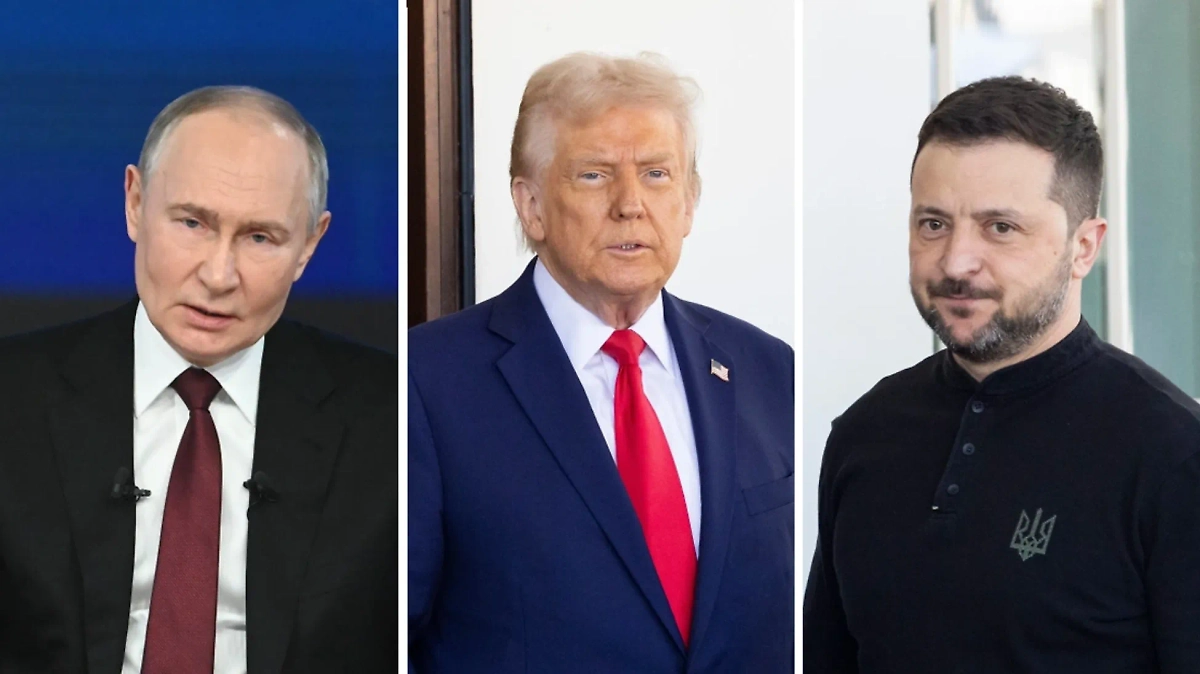 Владимир Путин, Дональд Трамп и Владимир Зеленский. Обложка © Life.ru, © Shutterstock / FOTODOM / Joshua Sukoff