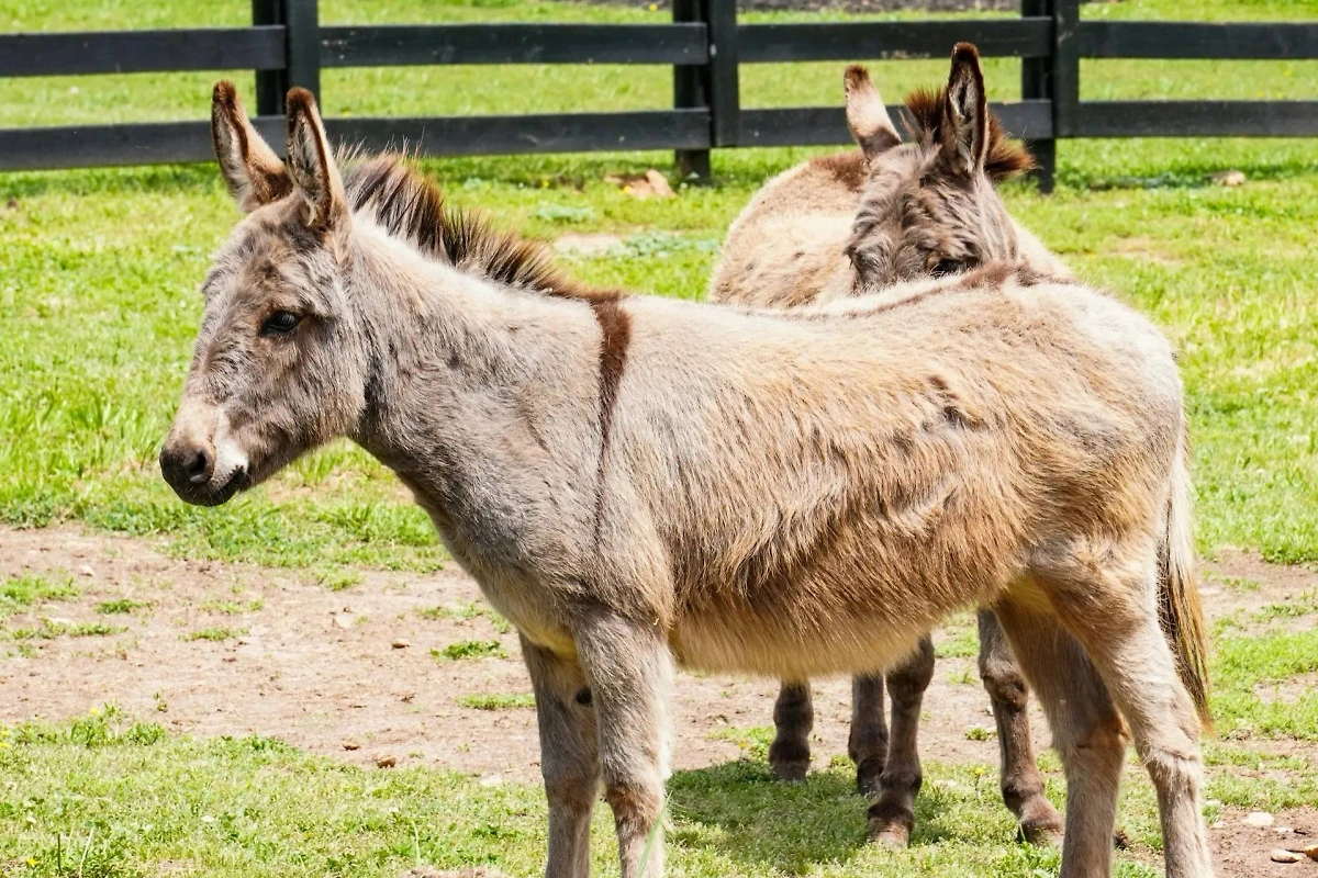 Обложка © Unsplash / Koushalya Karthikeyan