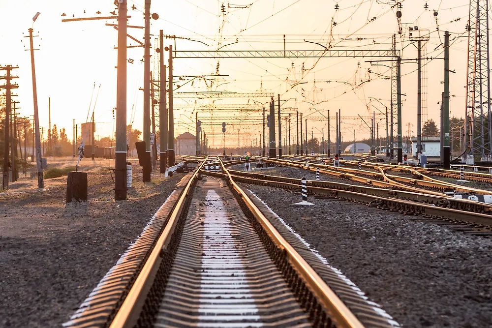 Обложка © Shutterstock / FOTODOM /K-FK