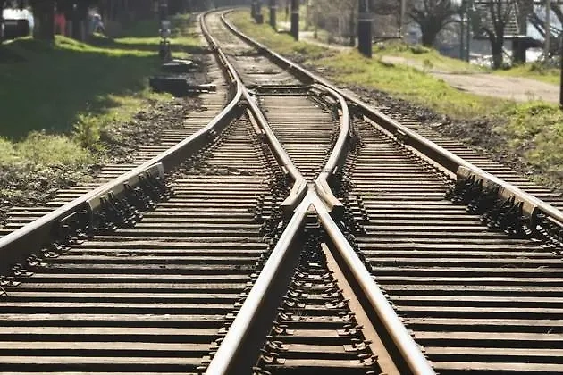 Обложка © Shutterstock / FOTODOM / maradon 333