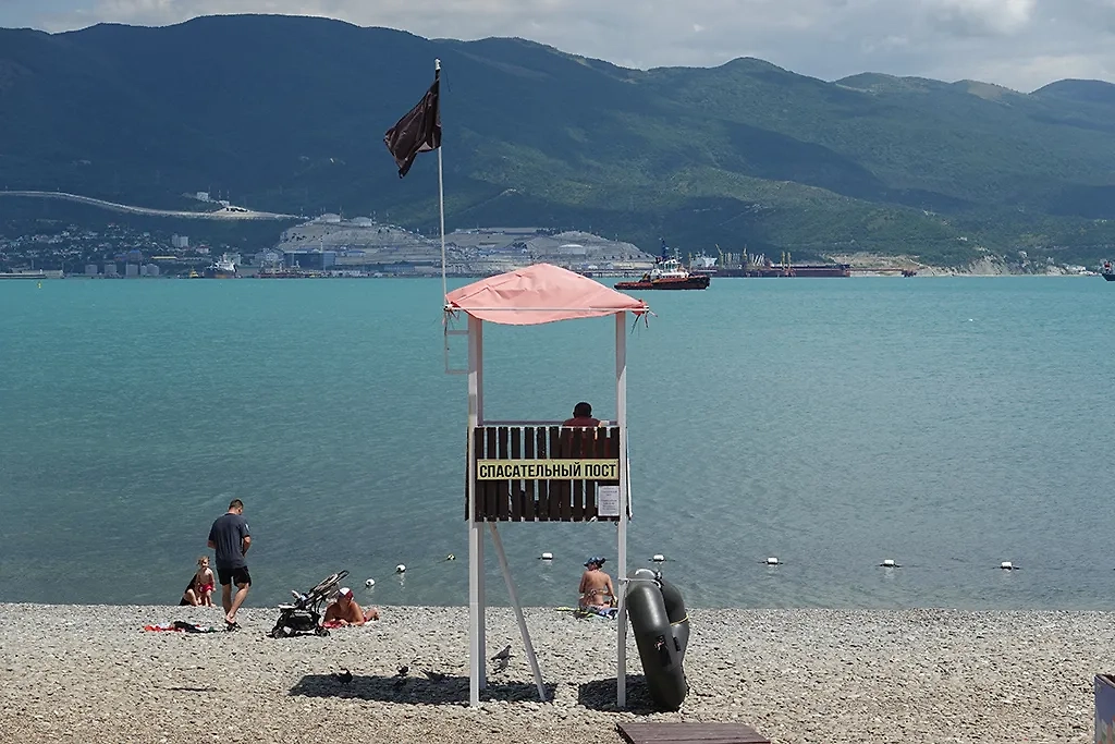 Обложка © ТАСС / Алексей Зотов