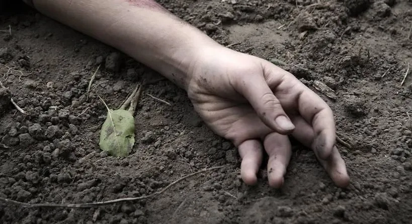 Обложка © Shutterstock / FOTODOM / ArtMari