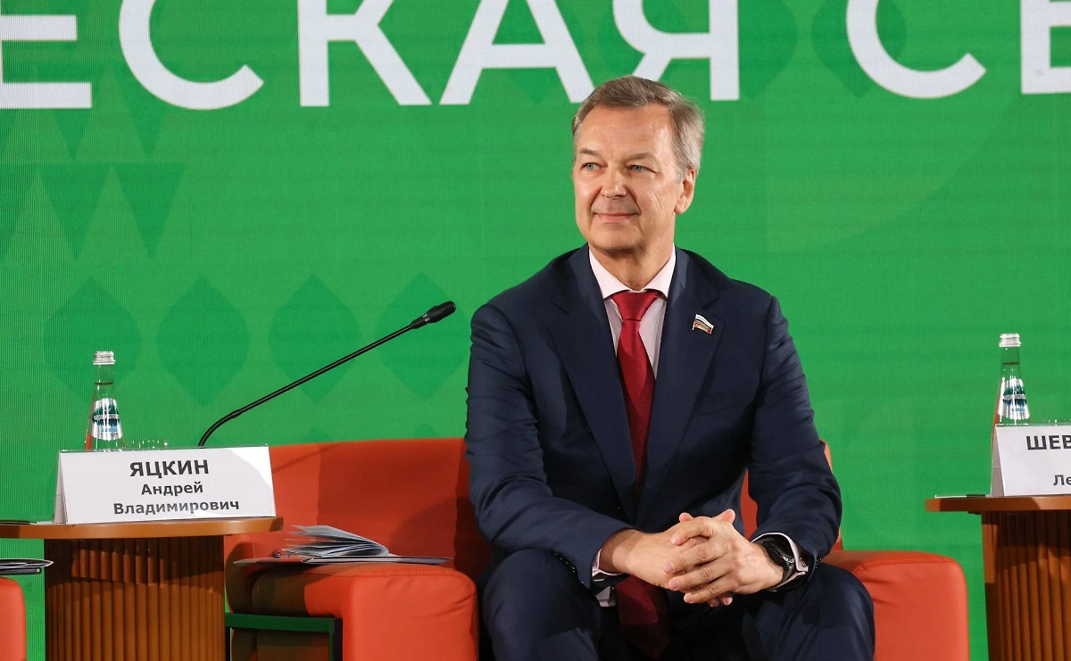 Первый заместитель председателя Совета Федерации Андрей Яцкин. Фото © council.gov.ru