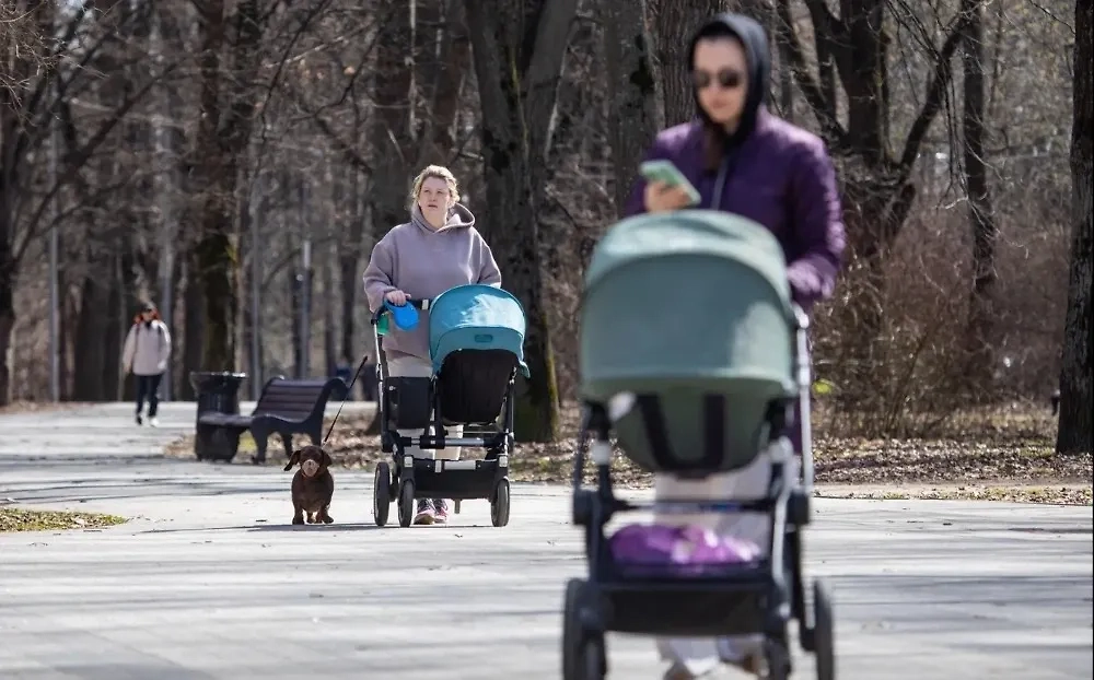 Обложка © Life.ru