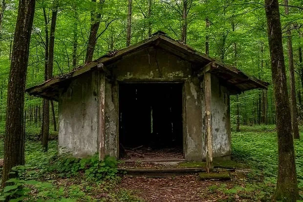 Обложка © Шедеврум / Life.ru