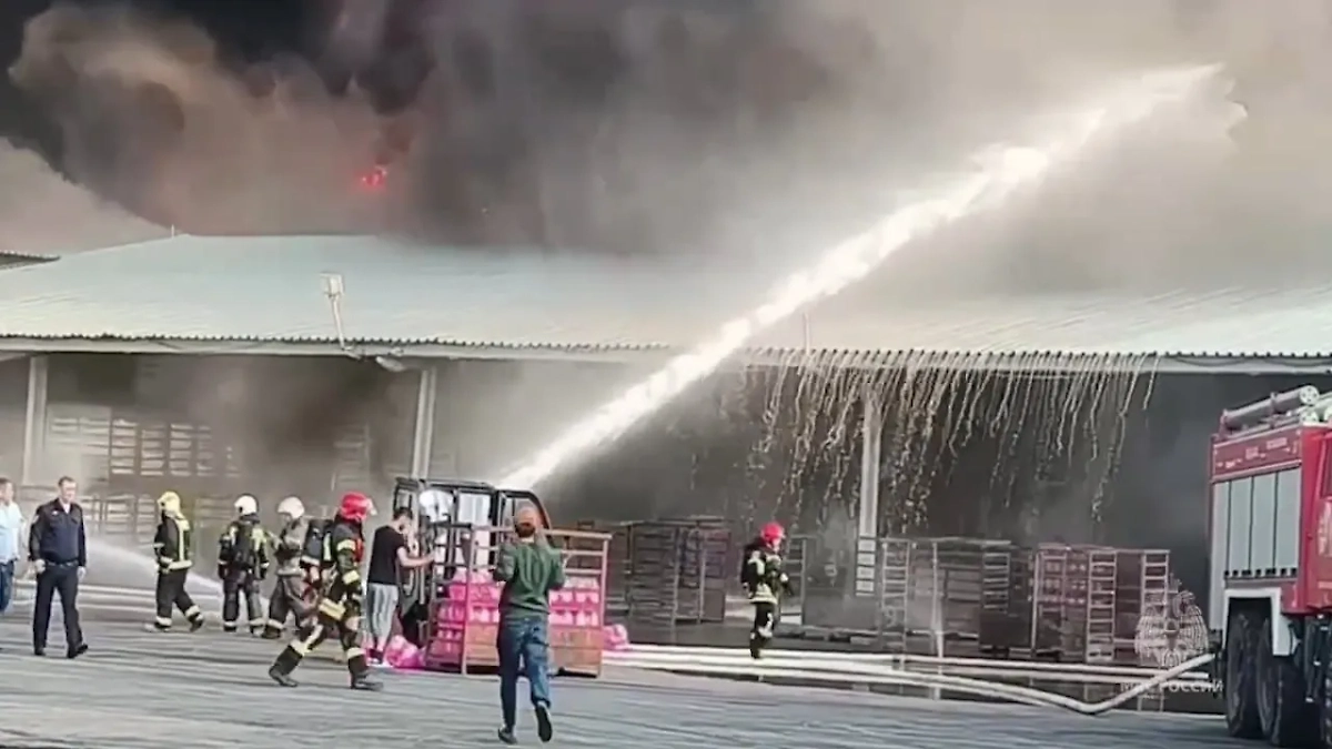 Тушение пожара на складе в Пушкино. Обложка © Telegram / МЧС России