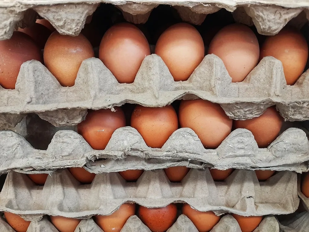 Обложка © Shutterstock / FOTODOM / Christina Patricya