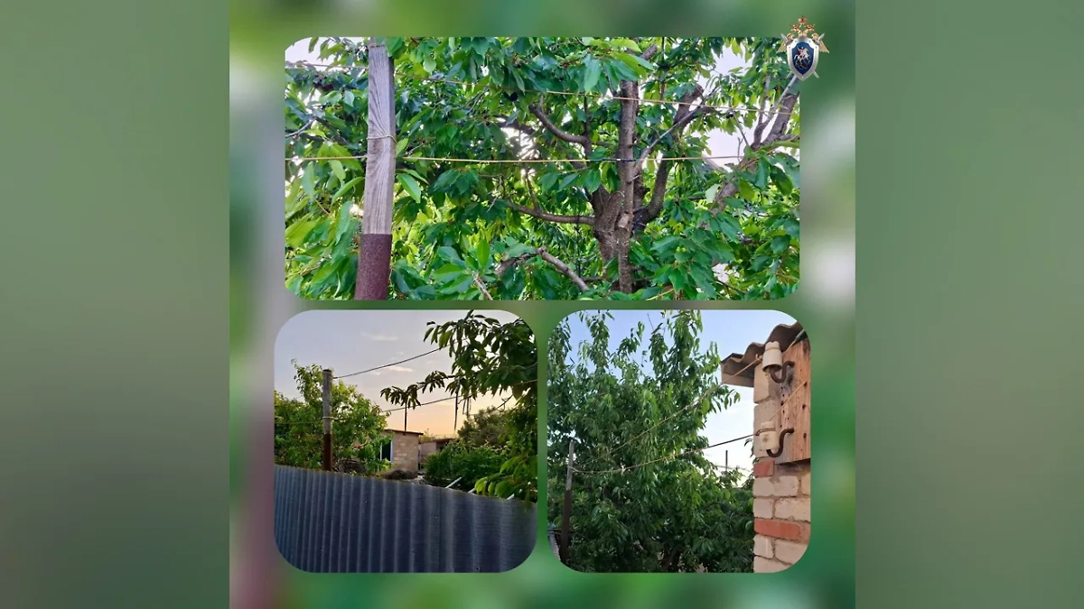 Ребёнок погиб от удара электрическим током. Фото © СУ СК России по Астраханской области