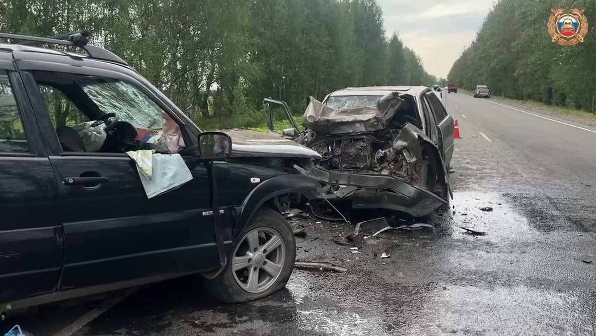 Обложка © Telegram / Госавтоинспекция Ярославской области