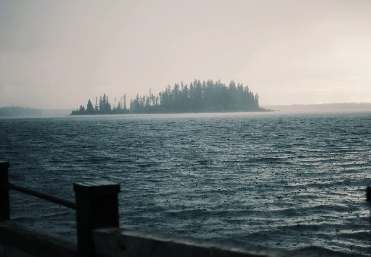 Обложка © freepik / wirestock