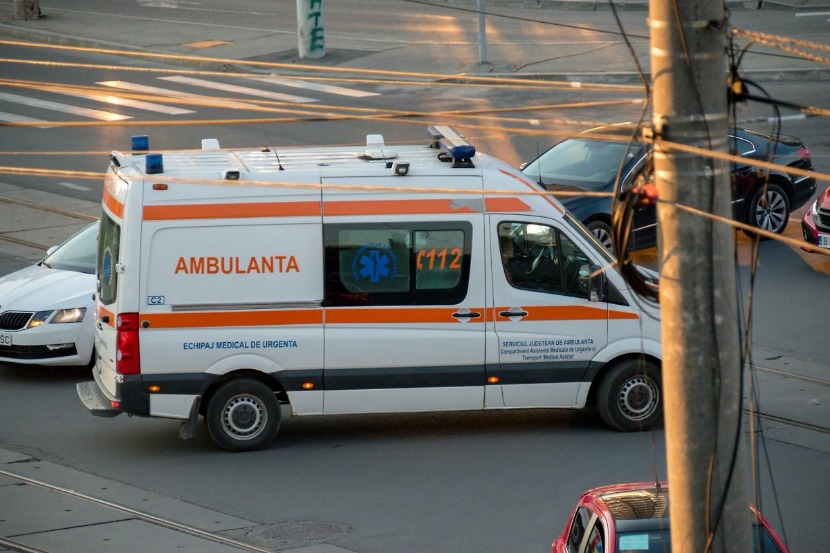 Обложка © Shutterstock / FOTODOM / aaddyy