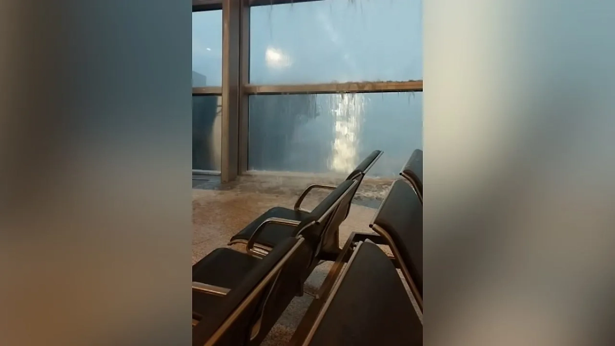 Обложка © Telegram / Агентство «Москва»