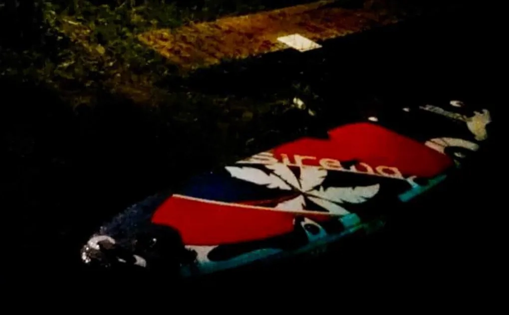 Сап, который обнаружили спасатели после происшествия. Фото © МЧС России