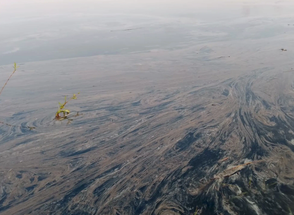 Дизель, разлившийся в Енисее. Обложка © Telegram / Юрий Озерских