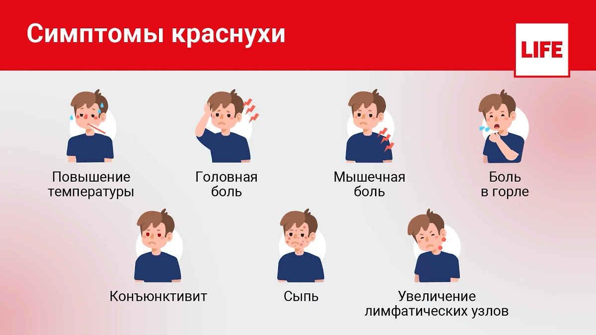 Симптомы краснухи. Инфографика © Life.ru