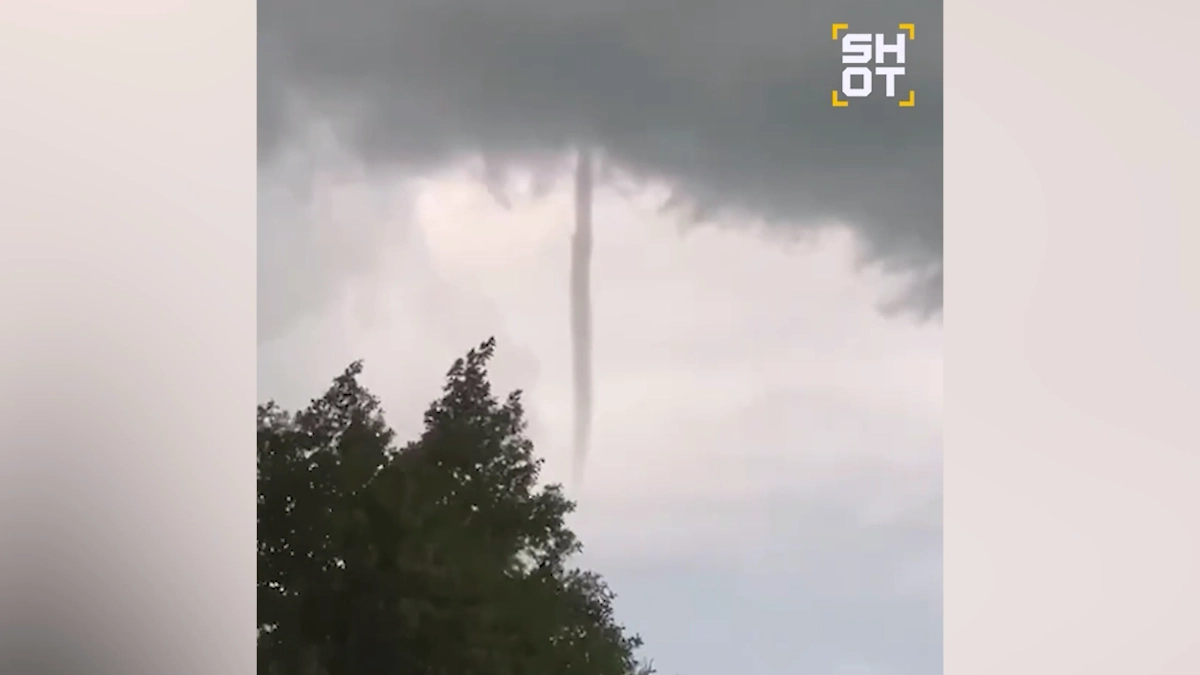 Обложка © SHOT