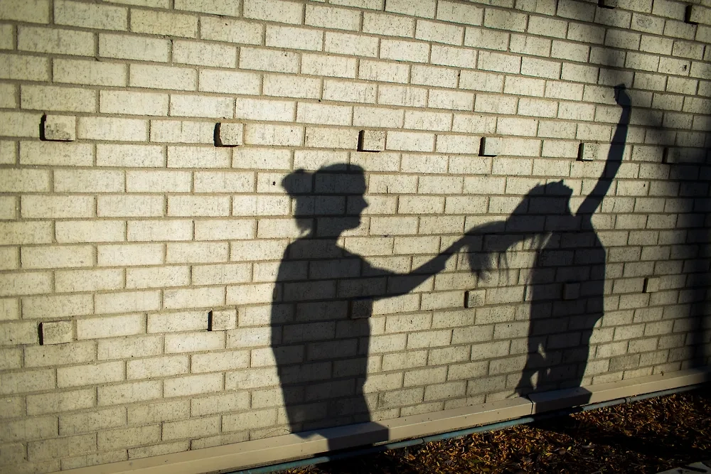 Обложка © Shutterstock / FOTODOM / photoiva