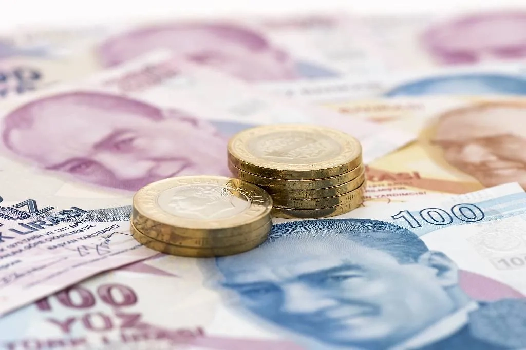 Обложка © Shutterstock / FOTODOM / gd_project