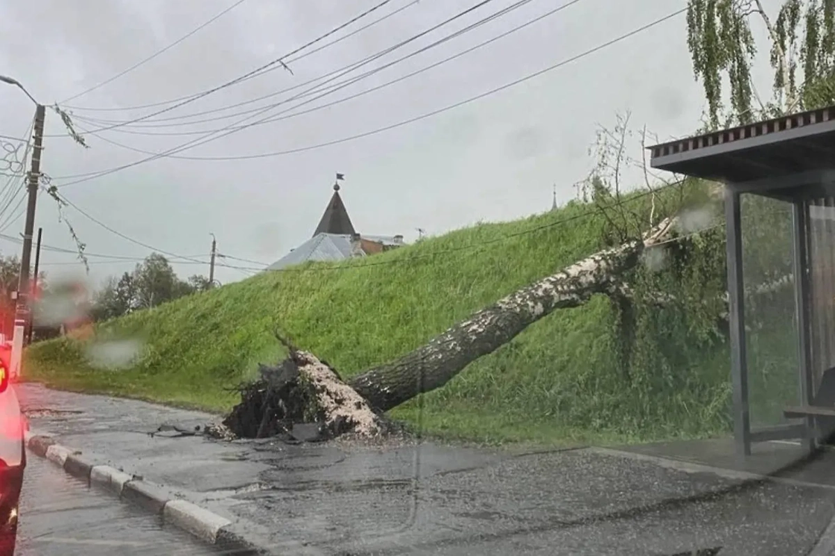 Последствия непогоды в Юрьев-Польском районе Владимирской области. Фото © VK / Антон Беляков