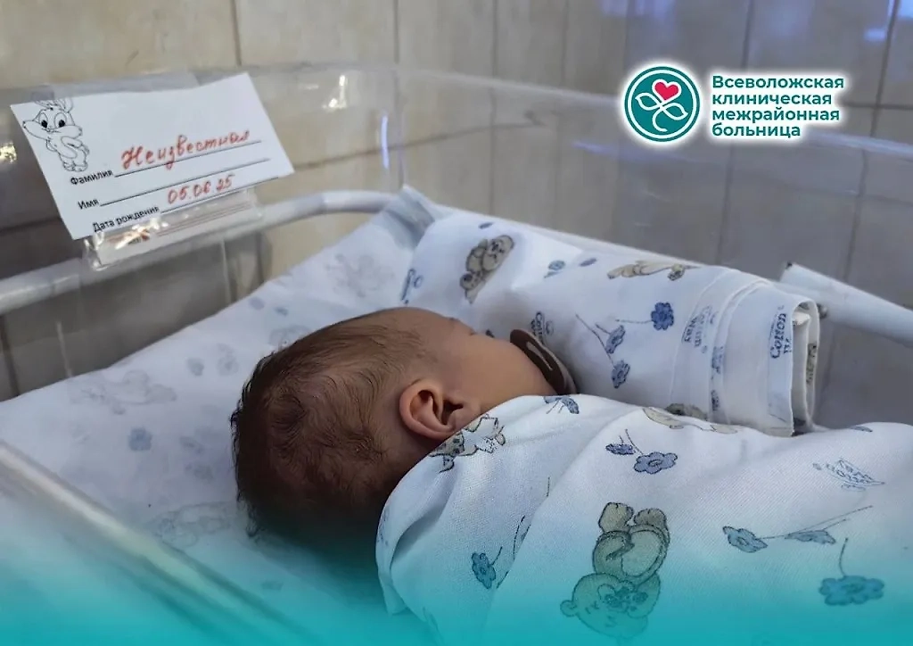 Новорождённая. Обложка © VK / ГБУЗ ЛО «Всеволожская КМБ»