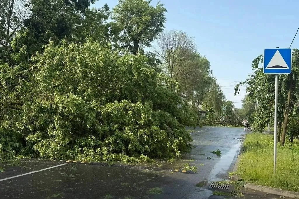 Последствия непогоды в Юрьев-Польском районе Владимирской области. Фото © VK / Антон Беляков