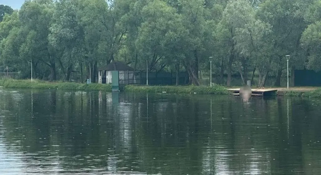 Место происшествия на реке Десна. Обложка © Telegram / Прокуратура Москвы