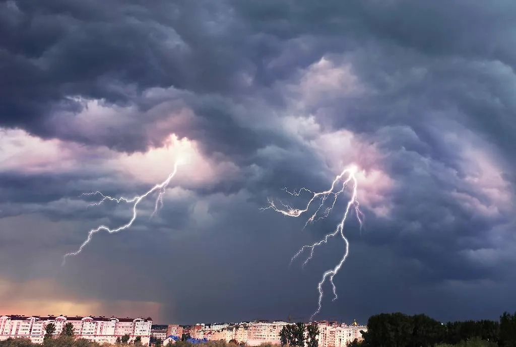 Обложка © Shutterstock / FOTODOM / Roman Mikhailiuk