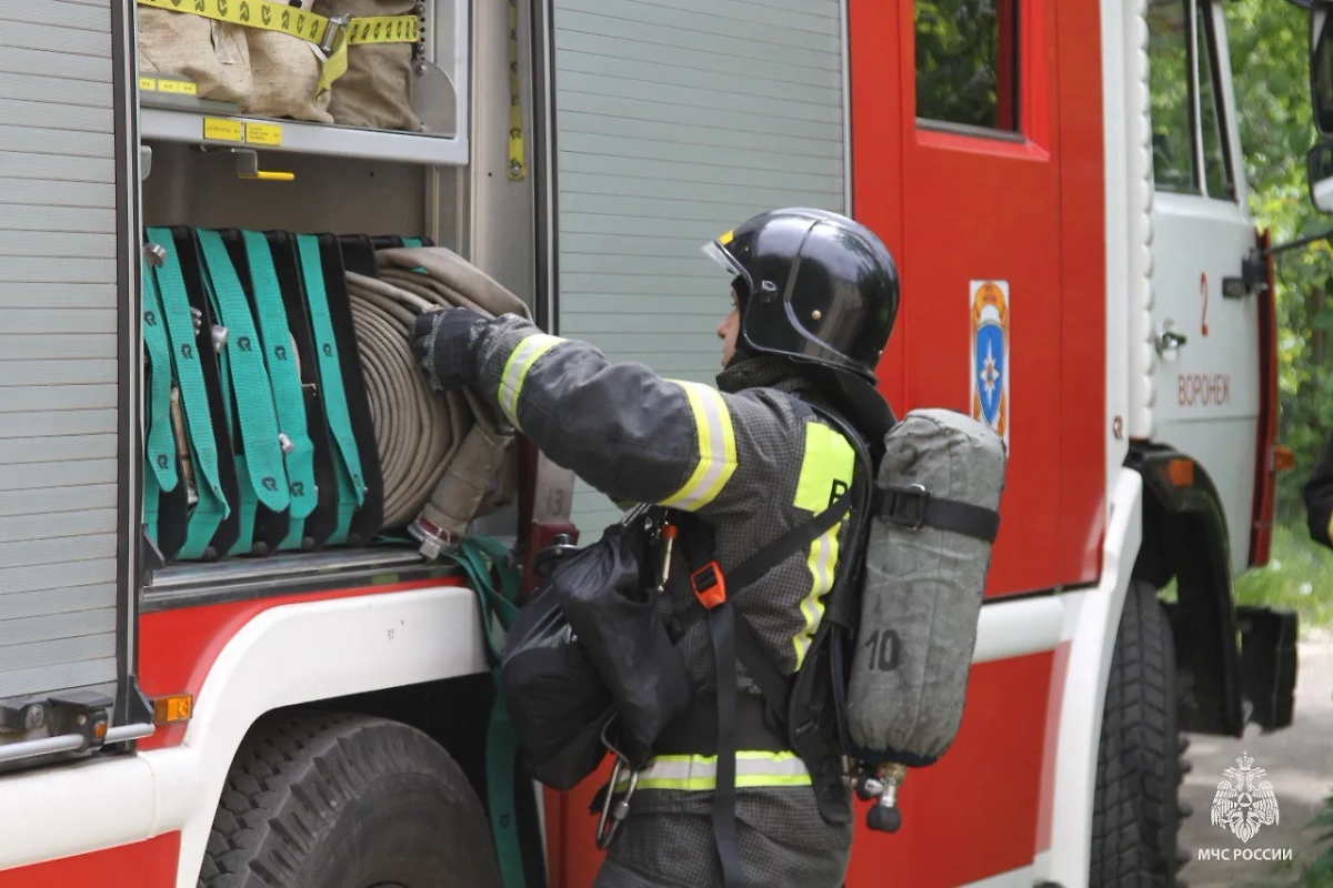 Обложка © Telegram / МЧС Воронежской области