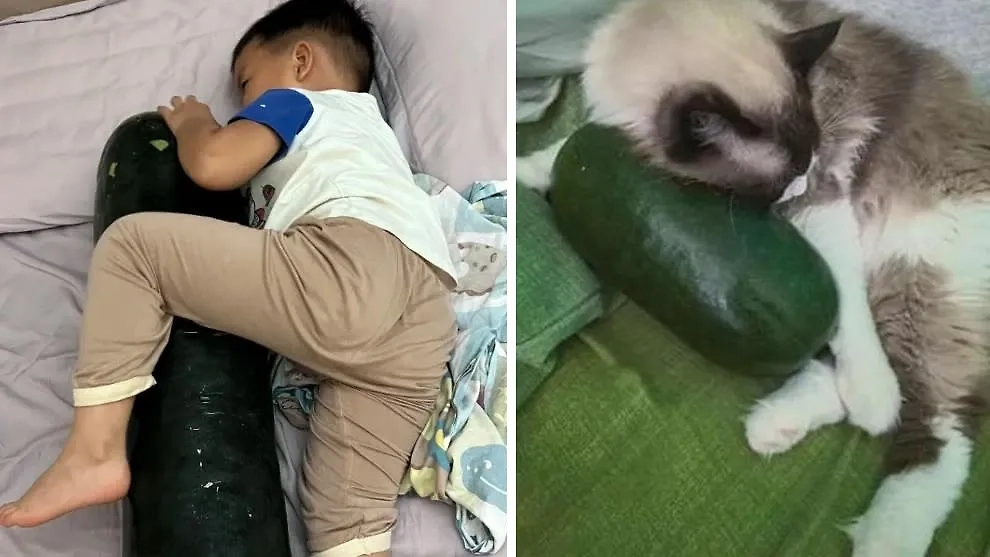 Обложка © yahoo