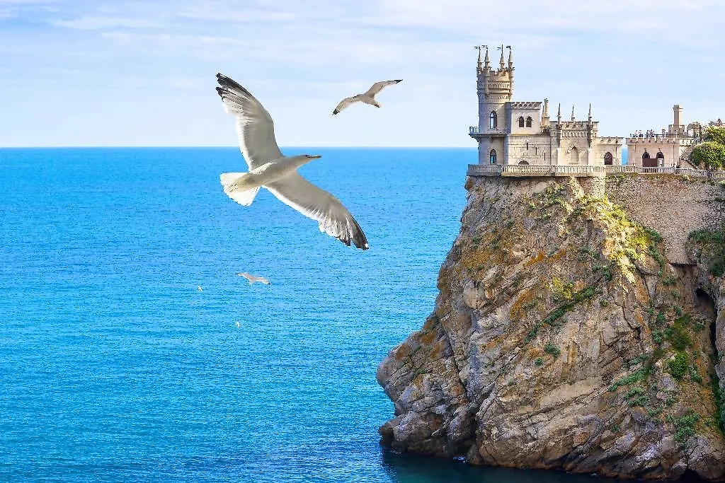 Обложка © Shutterstock / FOTODOM / Viacheslav Lopatin