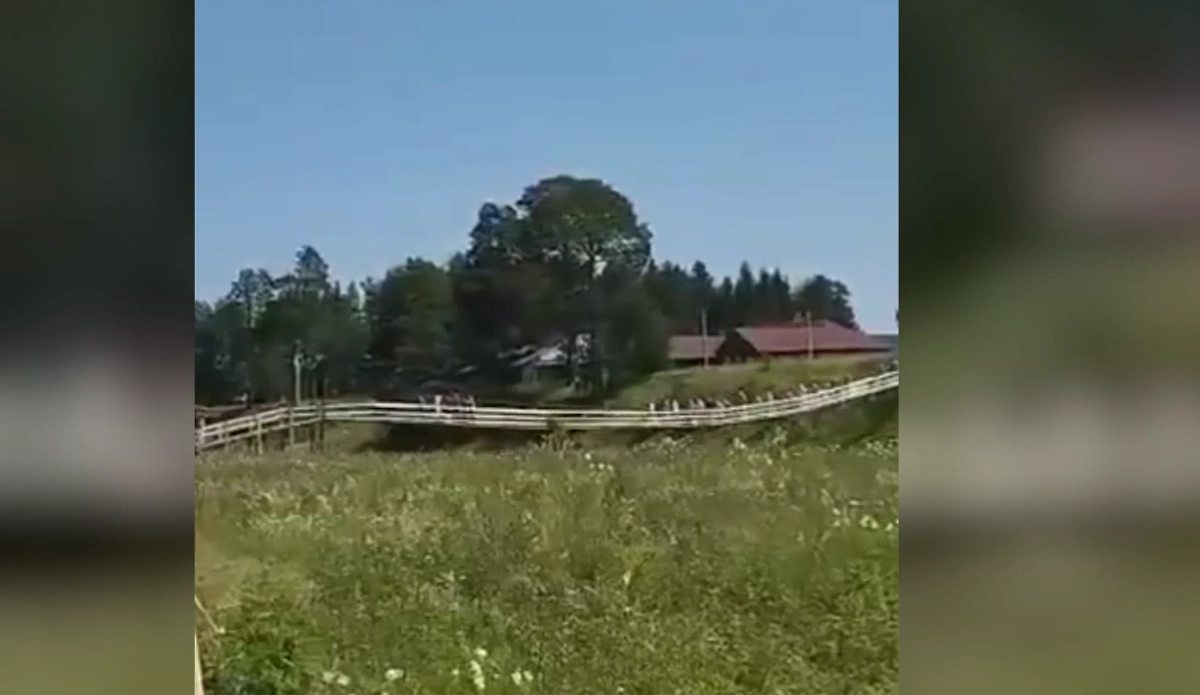 Обложка © Telegram / Вологда Онлайн