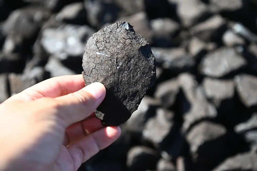 Обложка © РИА Новости / Кристина Кормилицына