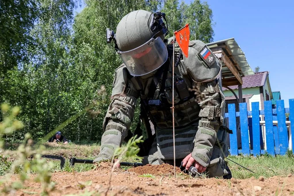 Обложка © Владимир Гердо/ТАСС 