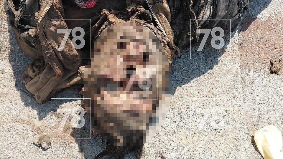 Мужчина, погибший в Петербурге. Фото © 78.ru